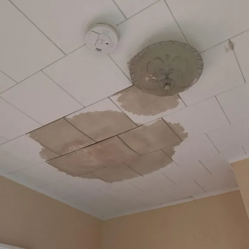 Ceiling Water Damage Repair in Sheldon, ND