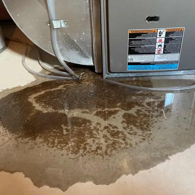 Pipe Burst and Leak Restoration in Sheldon, ND